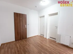 Prodej bytu 2+kk, Brno, Kigginsova, 60 m2
