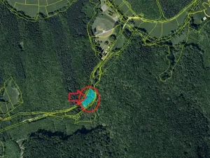 Prodej podílu lesa, Buchlovice, 1308 m2