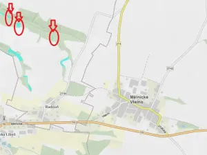 Prodej lesa, Mělnické Vtelno, 4059 m2