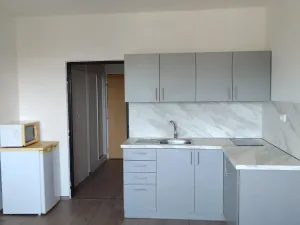 Pronájem bytu 1+kk, Kladno, Dánská, 27 m2