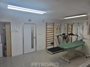 Pronájem komerční nemovitosti, Brno, Skopalíkova, 60 m2
