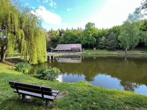 Prodej - jiné, Olšany, 40 m2