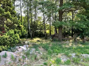 Prodej pozemku pro bydlení, Jindřichovice pod Smrkem, 3377 m2