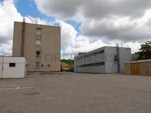 Pronájem skladu, Brno, Vinohradská, 153 m2