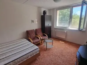 Pronájem bytu 1+1, Jihlava, Telečská, 33 m2