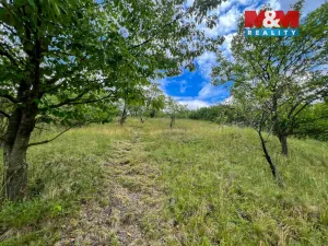 Prodej chaty, Litoměřice, 40 m2