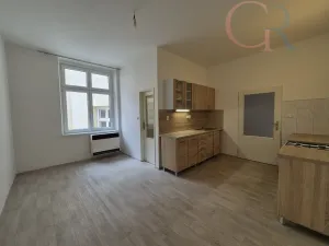 Pronájem bytu 2+kk, Plzeň - Vnitřní Město, Veleslavínova, 50 m2