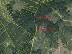 Prodej lesa, Načeradec, 2043 m2