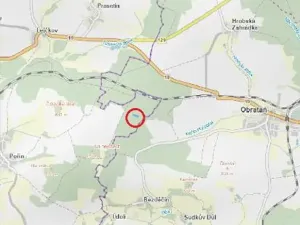 Prodej lesa, Dolní Hořice, 3496 m2