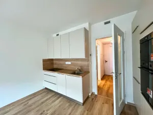 Pronájem bytu 1+kk, Praha, Poděbradská, 38 m2