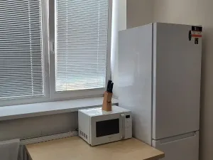 Pronájem pokoje, Brno, Vídeňská, 30 m2