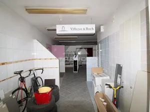 Prodej činžovního domu, Plzeň, Pod Všemi svatými, 450 m2