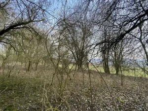 Prodej louky, Městečko Trnávka - Lázy, 1158 m2