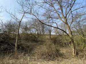 Prodej louky, Městečko Trnávka - Lázy, 1158 m2