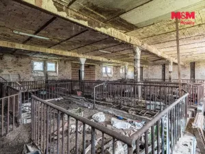 Prodej zemědělského objektu, Bor - Velká Ves, 627 m2