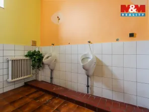 Prodej obchodního prostoru, Kravaře, Opavská, 1355 m2