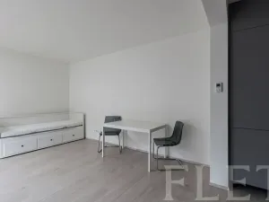 Pronájem bytu 1+kk, Praha - Žižkov, Hartigova, 37 m2