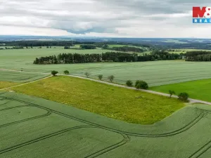 Prodej pole, Ostrov u Bezdružic - Krsov, 101002 m2