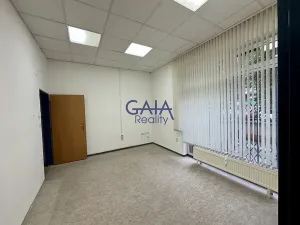 Pronájem obchodního prostoru, Kyjov, Kollárova, 226 m2
