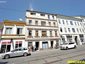 Pronájem bytu 1+kk, Brno, Vodní, 20 m2