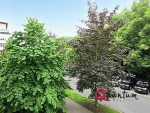 Prodej bytu 1+kk, Praha - Záběhlice, Mikanova, 35 m2