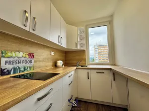 Pronájem bytu 1+1, Česká Lípa, Heroutova, 25 m2