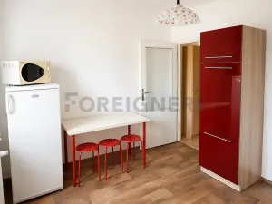 Pronájem bytu 3+1, Brno, Synkova, 71 m2