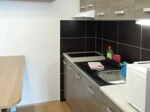 Pronájem pokoje, Brno, Běloruská, 50 m2