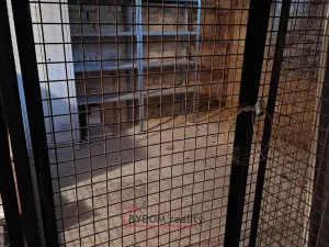 Prodej bytu 2+1, Plzeň, Edvarda Beneše, 59 m2