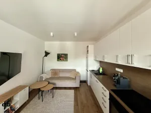 Pronájem bytu 3+kk, Bílovec, Sklenářská, 53 m2