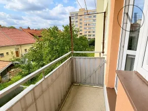 Pronájem bytu 3+1, České Budějovice, Puklicova, 60 m2