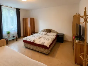 Prodej bytu 2+1, Žacléř, Havířská I, 60 m2
