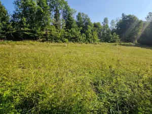 Prodej pozemku pro bydlení, Dolní Dvůr, 5218 m2