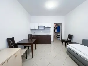 Prodej bytu 1+kk, Brno, 30 m2