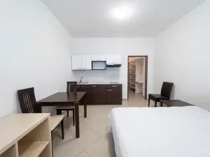 Prodej bytu 1+kk, Brno, 30 m2