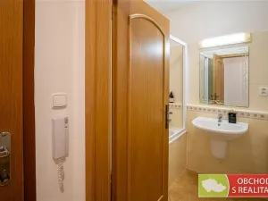 Prodej bytu 1+kk, Praha, Berlínská, 33 m2