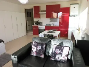 Pronájem bytu 1+kk, Samotišky, 40 m2