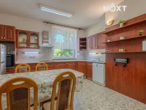 Prodej obchodního prostoru, Petrov, 615 m2