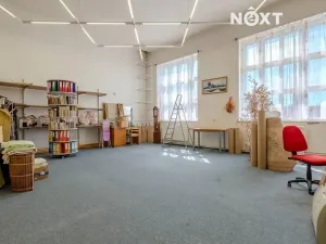 Prodej obchodního prostoru, Petrov, 615 m2