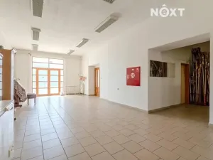 Prodej obchodního prostoru, Petrov, 615 m2