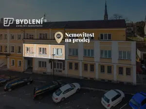 Prodej bytu 4+1, Teplice, J. V. Sládka, 137 m2