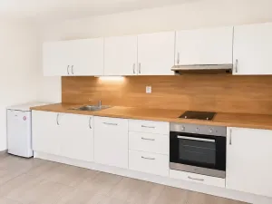 Pronájem bytu 1+1, Brno, Vlhká, 44 m2