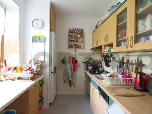 Prodej bytu 2+1, Praha - Žižkov, Pod lipami, 52 m2