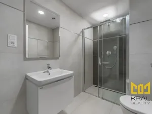 Pronájem bytu 2+kk, Praha - Žižkov, Jana Želivského, 53 m2