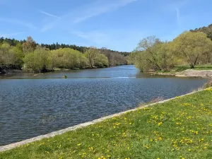 Prodej zahrady, Planá nad Lužnicí, 723 m2