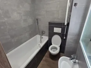 Pronájem bytu 1+1, Teplice, Smetanova, 55 m2