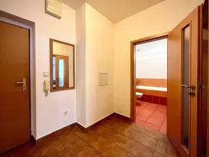 Pronájem bytu 2+kk, Jihlava, Vrchlického, 44 m2
