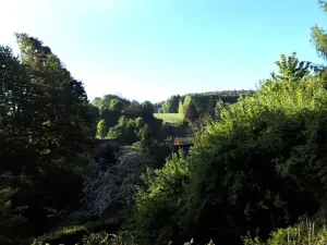 Dražba rodinného domu, Bělá nad Radbuzou, 270 m2