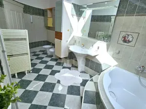 Prodej atypického bytu, České Budějovice, B. Smetany, 255 m2