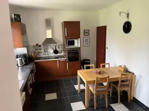Prodej rodinného domu, Jihlava, Bratří Čapků, 330 m2